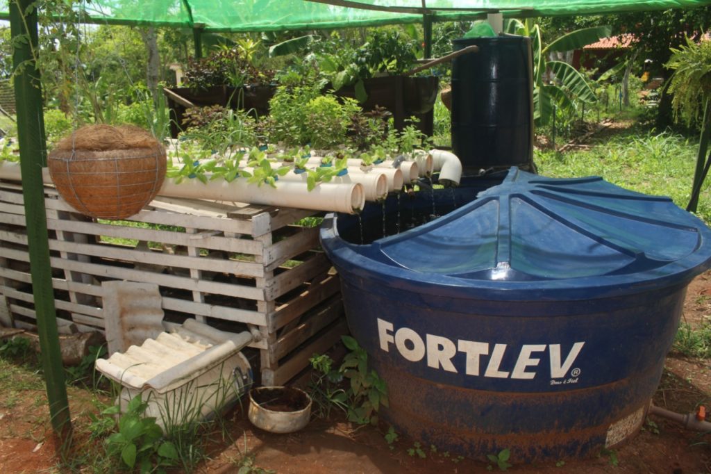 Alunas da Etec de Rio Preto desenvolvem sistema de aquaponia